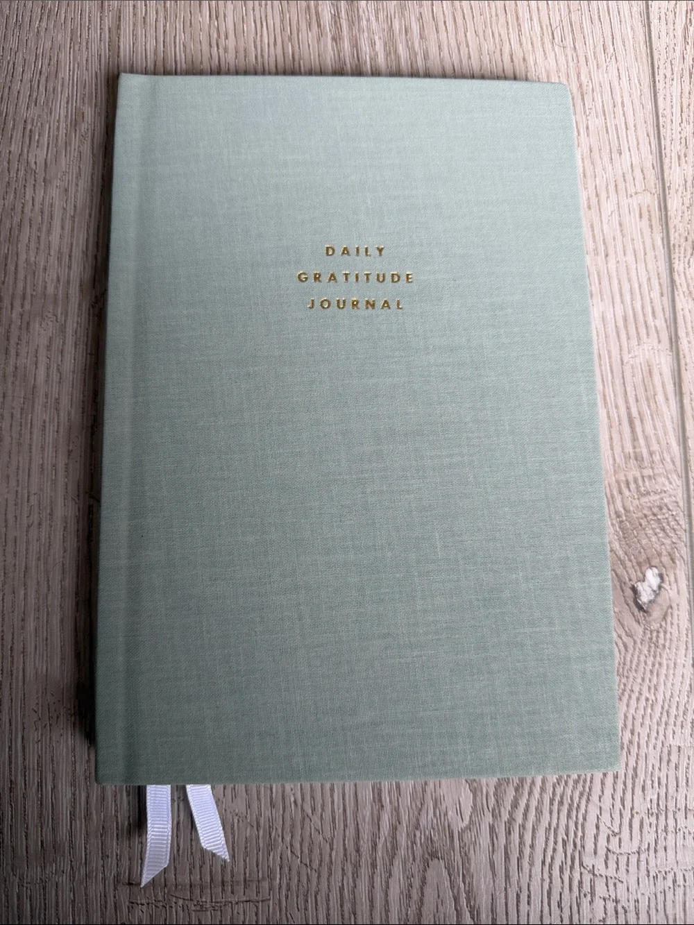 Daily Gratitude Journal - Sage Green
